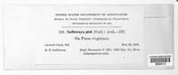 Image Associated With the Occurence